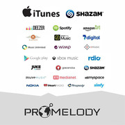 Promelody - лучший способ продавать свою музыку!